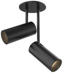 Downey 2 Recessed Adjustable Spot Ceiling Light -Home Lighting Shop 1034122