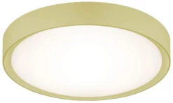 Clarimo Ceiling Light Fixture