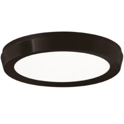 Argo Color Select Wall / Ceiling Light -Home Lighting Shop 1128704