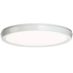 Argo Color Select Wall / Ceiling Light -Home Lighting Shop 1128708