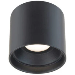 Squat Color Select Outdoor Ceiling Light -Home Lighting Shop 1128757