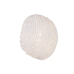 Tati Wall / Ceiling Light 17 Tati Wall / Ceiling Light -Home Lighting Shop 451080