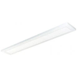 Blink Plus Slim Linear Surface Mount Light