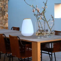 Vessel LED Lamp 19 Vessel LED Lamp -Home Lighting Shop 60949 install