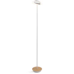 Royyo Floor Lamp -Home Lighting Shop 611200