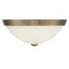 Curved Glass Ceiling Light Fixture