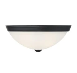 Curved Glass Ceiling Light Fixture -Home Lighting Shop 665717
