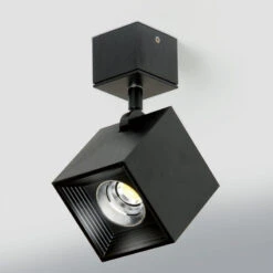 Dau Spot Wall / Ceiling Light -Home Lighting Shop 828927