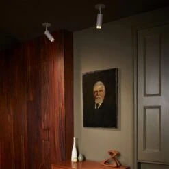 Exhaust Spot Light -Home Lighting Shop 957306 add12