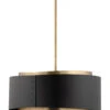 Roux Pendant -Home Lighting Shop F4413 PBR SBK add