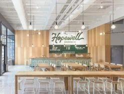 Mobile Chandelier -Home Lighting Shop Hopewell02