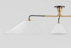 Duo Linear Semi-Flush Ceiling Light