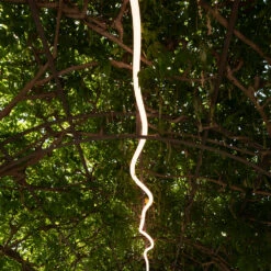 Artemide La Linea Wall/Ceiling Light -Home Lighting Shop LL0001 add2