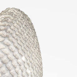 Tati Wall / Ceiling Light 12 Tati Wall / Ceiling Light -Home Lighting Shop aa TA06P 02close