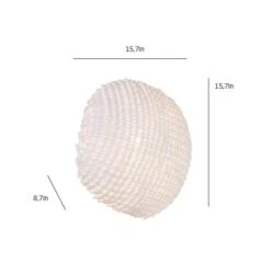 Tati Wall / Ceiling Light