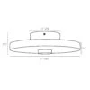 Moers Ceiling Light Fixture -Home Lighting Shop ahm 49786line