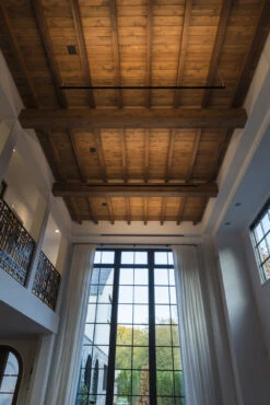 Cirrus Ceiling D1 Lens Downlight W/ Remote Power -Home Lighting Shop asbury residence cirrusD1 edge 86155 liv