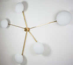 Stella Starfish Ceiling Light 7 Stella Starfish Ceiling Light -Home Lighting Shop dfm stella starfish 1