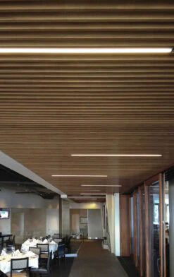 Cirrus Ceiling D1 High Efficiency Downlight W/ Remote Power -Home Lighting Shop edge cirrus d1 install addtl img02 2