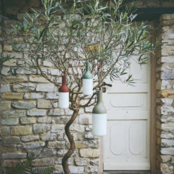 ELO Baby Portable Table Lamp -Home Lighting Shop elo baby group