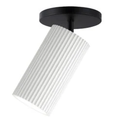 Pleat Adjustable Wall/ Ceiling Mount Fixture
