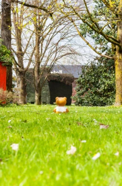 Kartell Moschino Toy Novelty Lamp