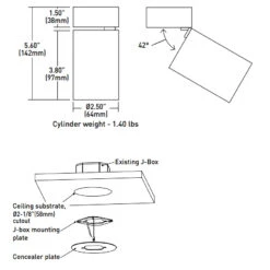 CY1 Adjustable Cylinder Ceiling Light
