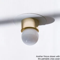 Ball Flex Bracket Wall Light -Home Lighting Shop michael anastassiades jbox cover example 1