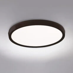 Argo Color Select Wall / Ceiling Light -Home Lighting Shop modfor FM 4215 BK add1