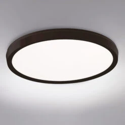 Argo Color Select Wall / Ceiling Light -Home Lighting Shop modfor FM 4219 BK add1