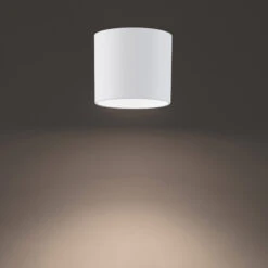 Squat Color Select Outdoor Ceiling Light -Home Lighting Shop modfor FM W46205 30 WT add2 1