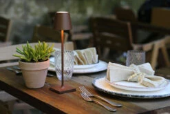 Poldina Pro Micro Rechargeable Table Lamp -Home Lighting Shop polidina micro app3