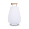 Vessel LED Lamp -Home Lighting Shop sag vessel add2