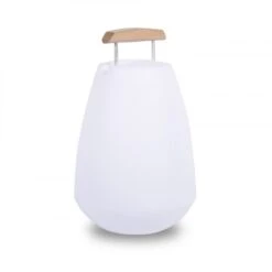 Vessel LED Lamp