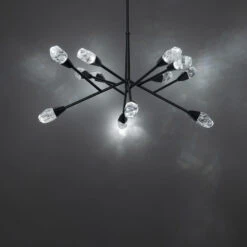 Synapse Chandelier -Home Lighting Shop shb BPD32232 BK.PT02