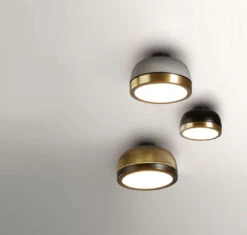 Molly Wall / Ceiling Light -Home Lighting Shop too 556.72 C41C41 wall 2