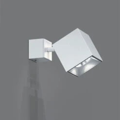 Dau Spot Wall / Ceiling Light -Home Lighting Shop zaneen d9 2134 addtl img01