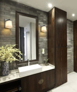 Z-LIte Darcy Wall Sconce -Home Lighting Shop zlt 1939 1S BN RS 2